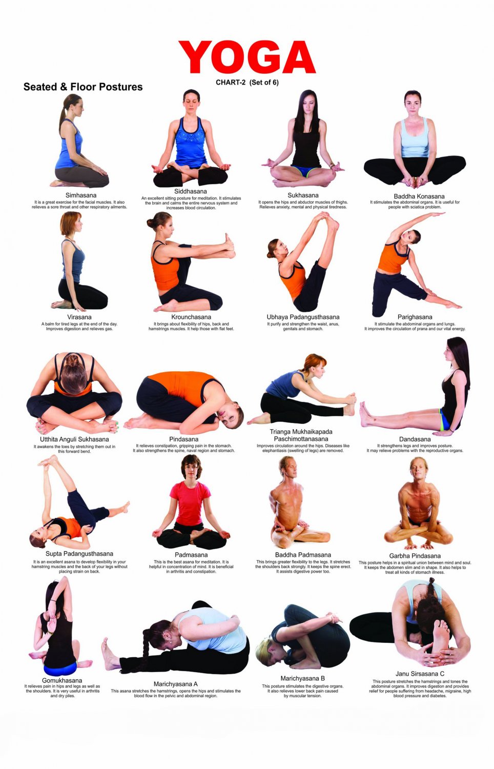 Yoga Seated & Floor Postures Chart 13"x19" (32cm/49cm) Polyester Fabric Poster