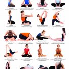 Yoga Seated & Floor Postures Chart 13"x19" (32cm/49cm) Canvas Print