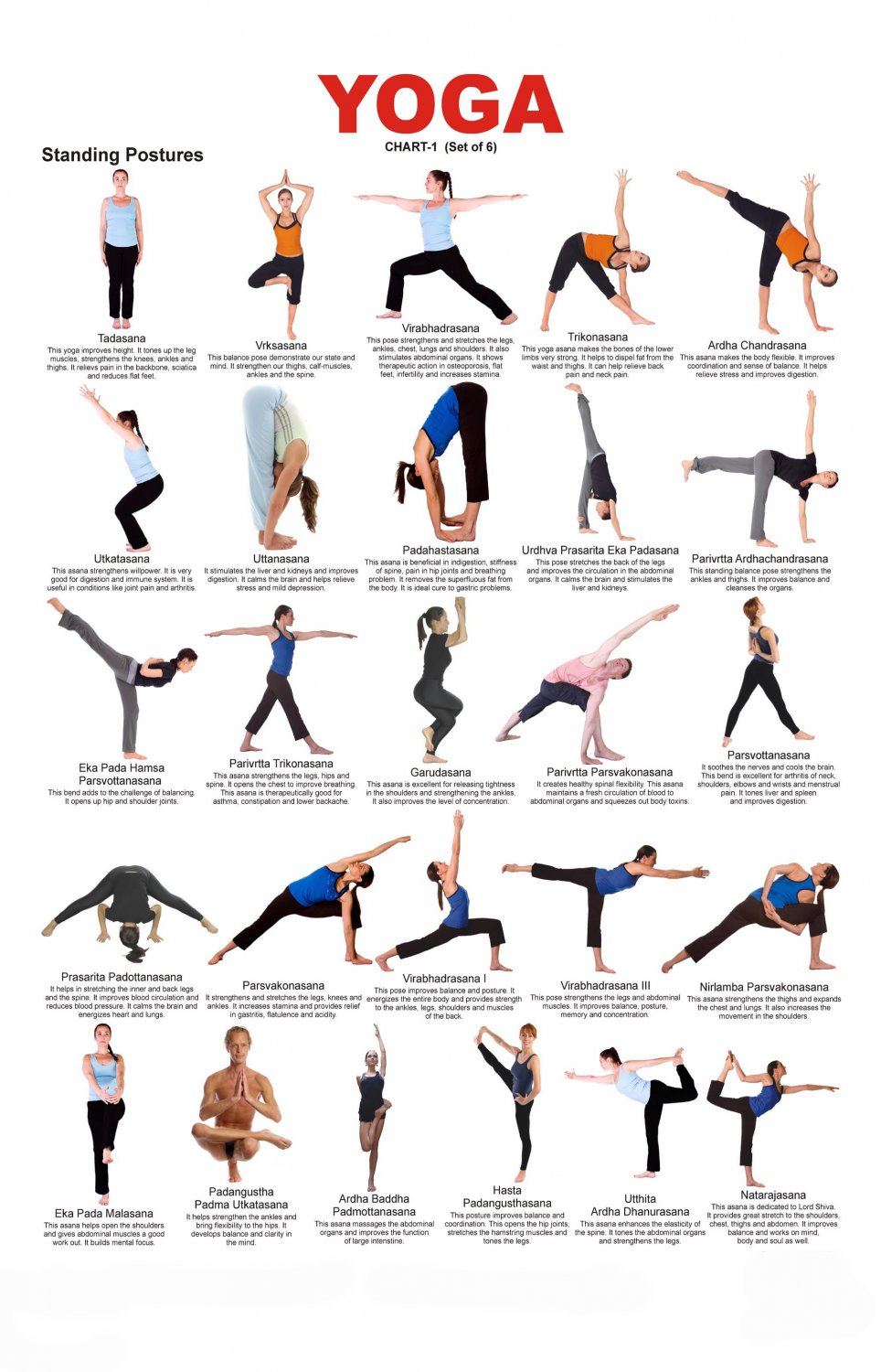 Yoga Standing Postures Chart 13"x19" (32cm/49cm) Polyester Fabric Poster