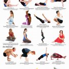 Yoga Twists and Abdominal Toners Chart 13"x19" (32cm/49cm) Polyester Fabric Poster