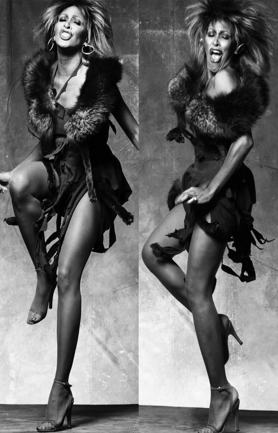 Tina Turner 13"x19" (32cm/49cm) Polyester Fabric Poster