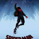Spider-Man Into the Spider-Verse 2018  13"x19" (32cm/49cm) Polyester Fabric Poster