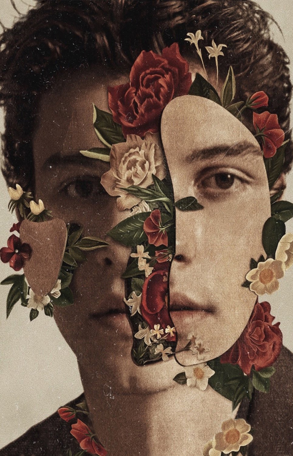 Shawn Mendes   13"x19" (32cm/49cm) Polyester Fabric Poster