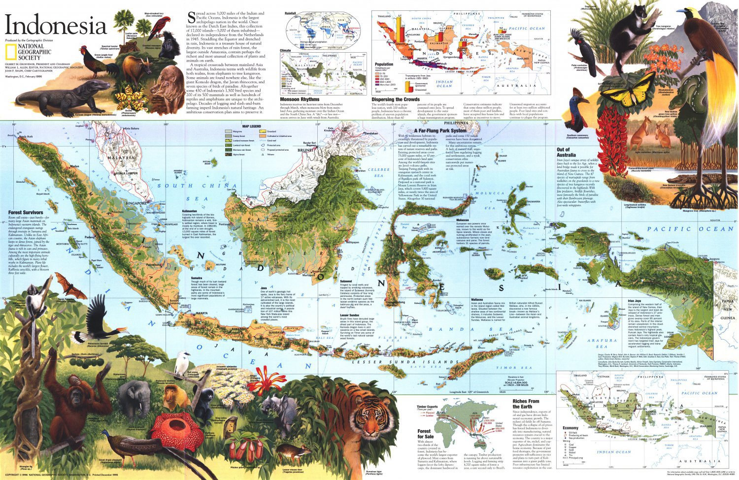Indonesia Animals Infographic Chart 13"x19" (32cm/49cm) Polyester Fabric Poster
