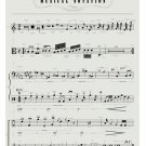 Visual Guide to Musical Notation Chart 13"x19" (32cm/49cm) Polyester Fabric Poster