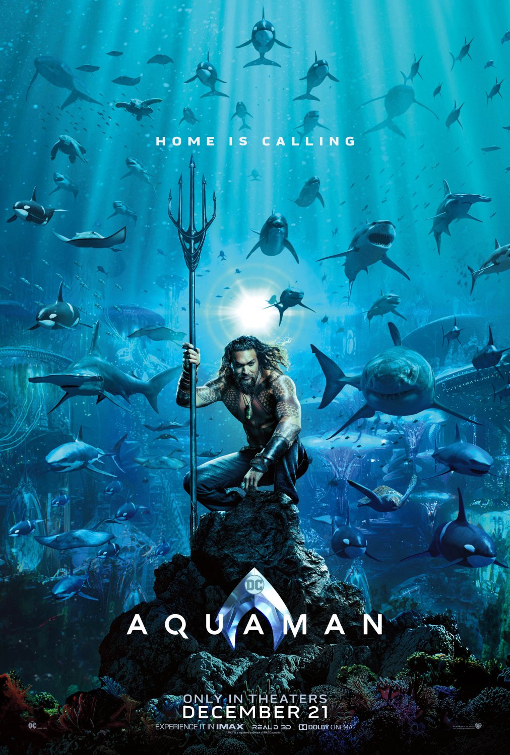 Aquaman Jason Momoa 13"x19" (32cm/49cm) Polyester Fabric Poster