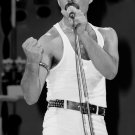 Freddie Mercury 18"x28" (45cm/70cm) Poster