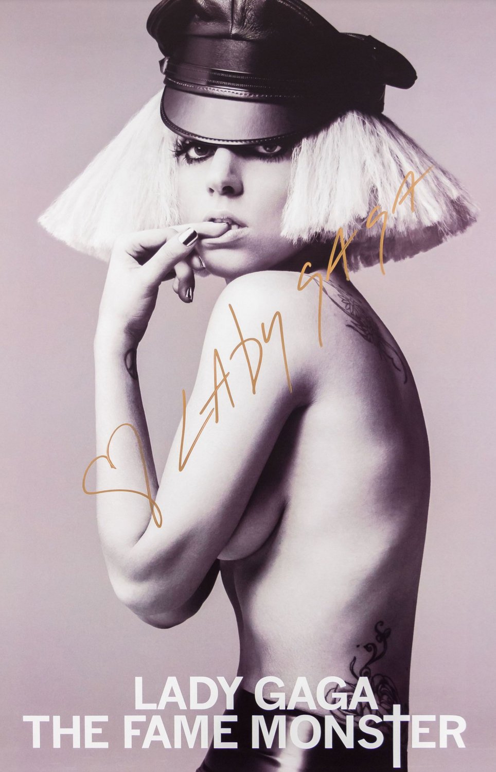Lady Gaga 13"x19" (32cm/49cm) Polyester Fabric Poster