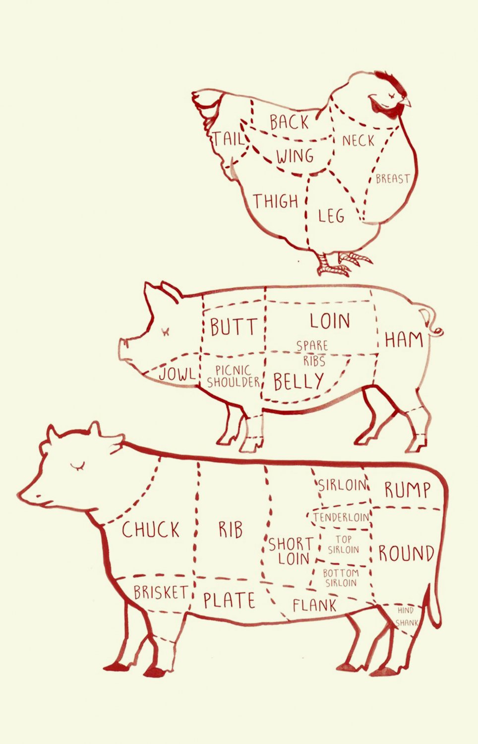Cow Pig Chicken Butcher Diagram Chart 18"x28" (45cm/70cm) Canvas Print