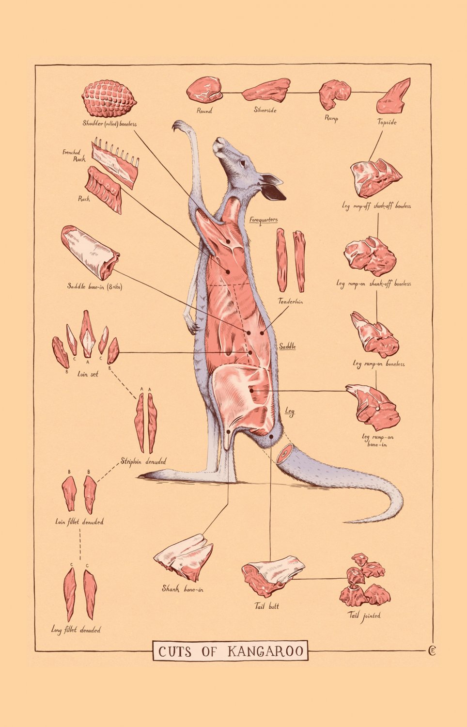 Cuts of Kangaroo Meat Chart 13"x19" (32cm/49cm) Polyester Fabric Poster