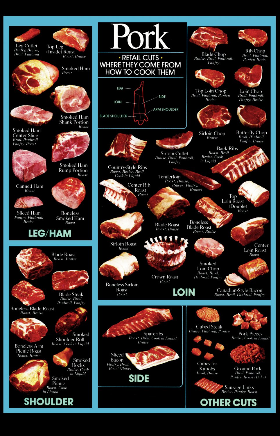 Pork Cuts Where they come from How to cook them Chart 18"x28" (45cm