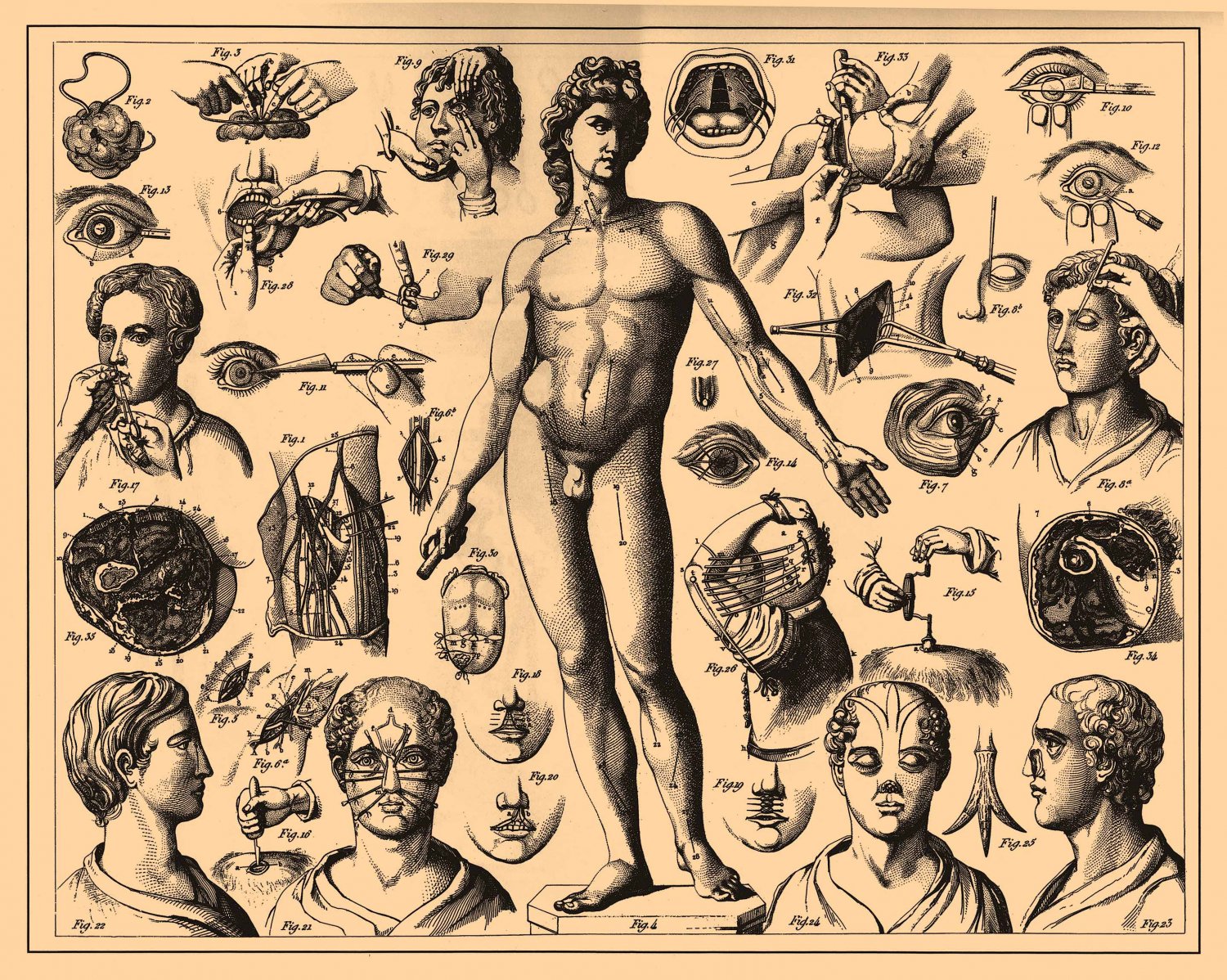 Brockhaus and Efron Encyclopedic Dictionary Chart 18"x28" (45cm/70cm) Poster