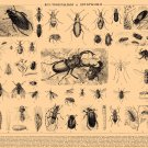 Brockhaus and Efron Encyclopedic Dictionary Chart 13"x19" (32cm/49cm) Polyester Fabric Poster