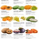 15 weird and exotic fruits to hunt down Chart 18"x28" (45cm/70cm) Canvas Print