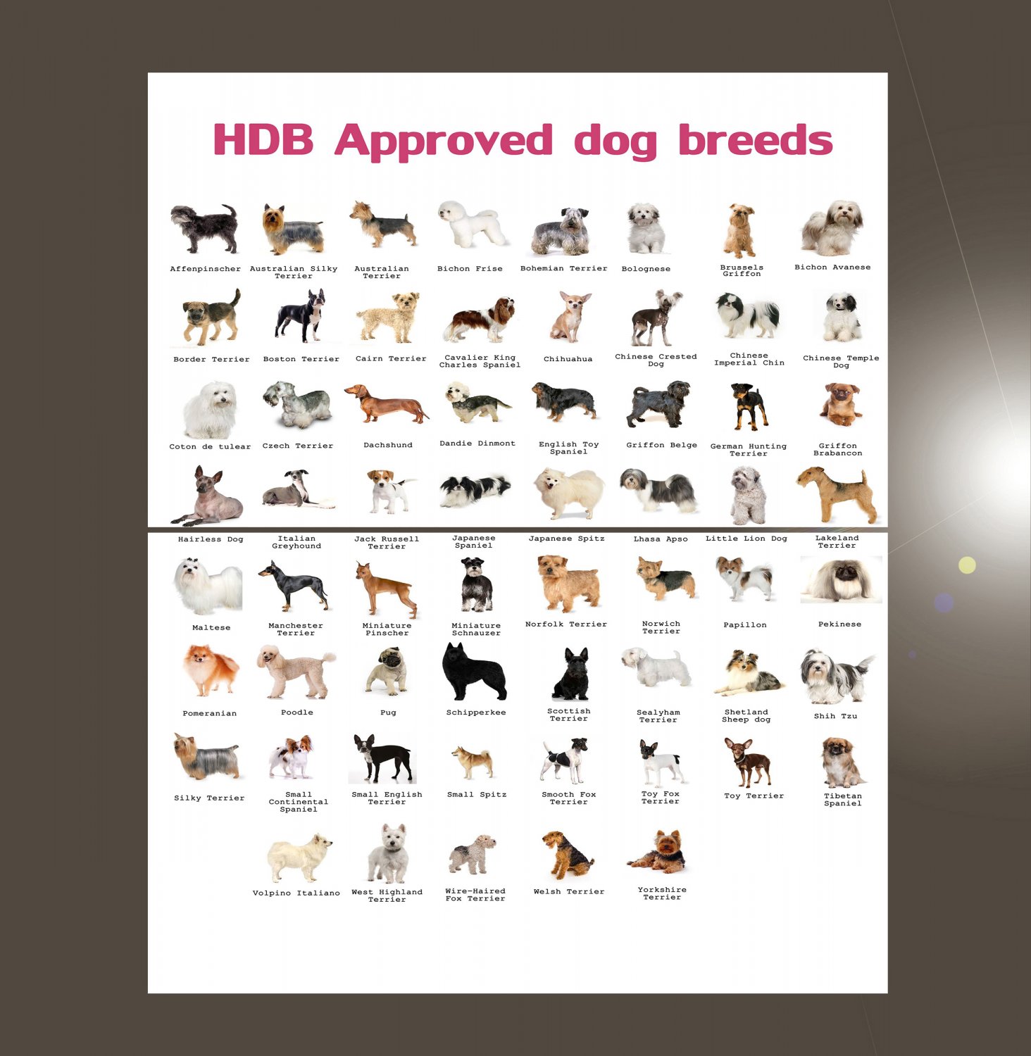 Approved Dog Breeds Chart 18"x28" (45cm/70cm) Bundle of 2 Poster