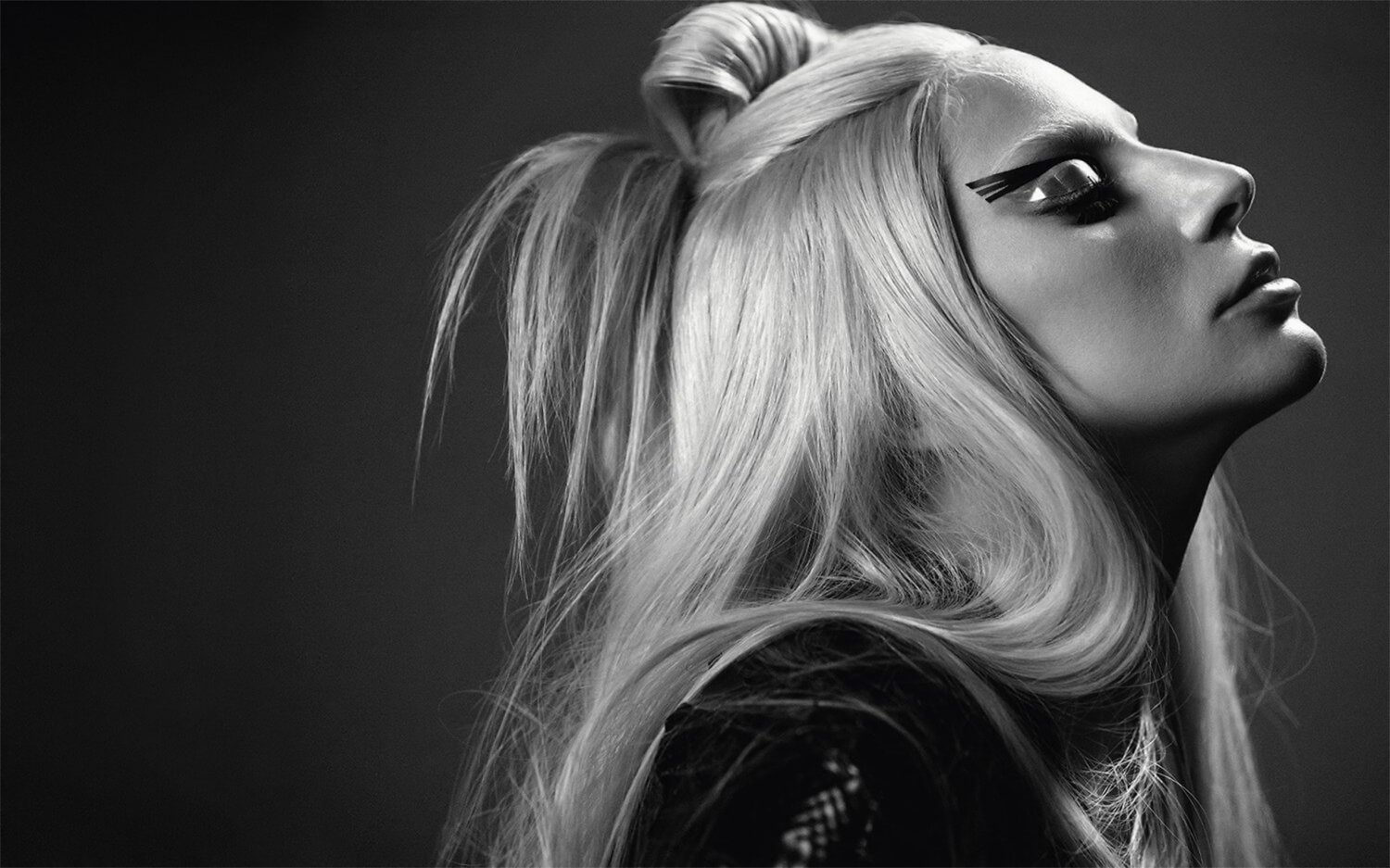 Lady Gaga 13"x19" (32cm/49cm) Polyester Fabric Poster