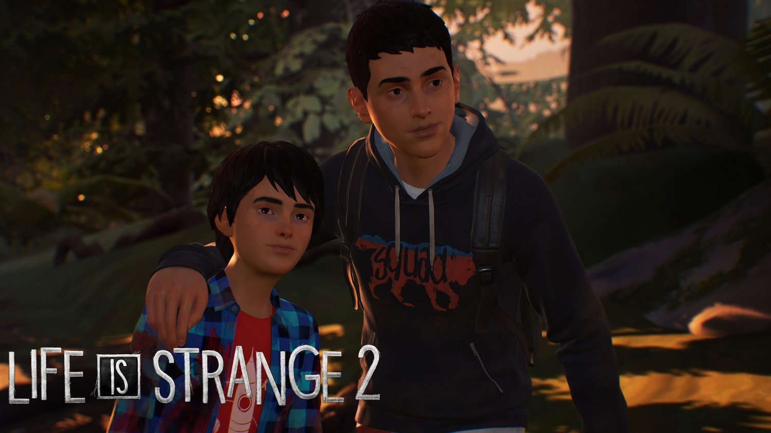 Life Is Strange 2 Game 13"x19" (32cm/49cm) Polyester Fabric Poster