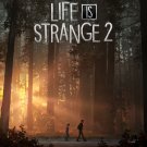 Life Is Strange 2 Game 18"x28" (45cm/70cm) Poster
