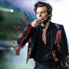 Harry Styles 13"x19" (32cm/49cm) Polyester Fabric Poster