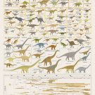 The Complete Evolutionary Dinosaur Tree Chart  18"x28" (45cm/70cm) Poster