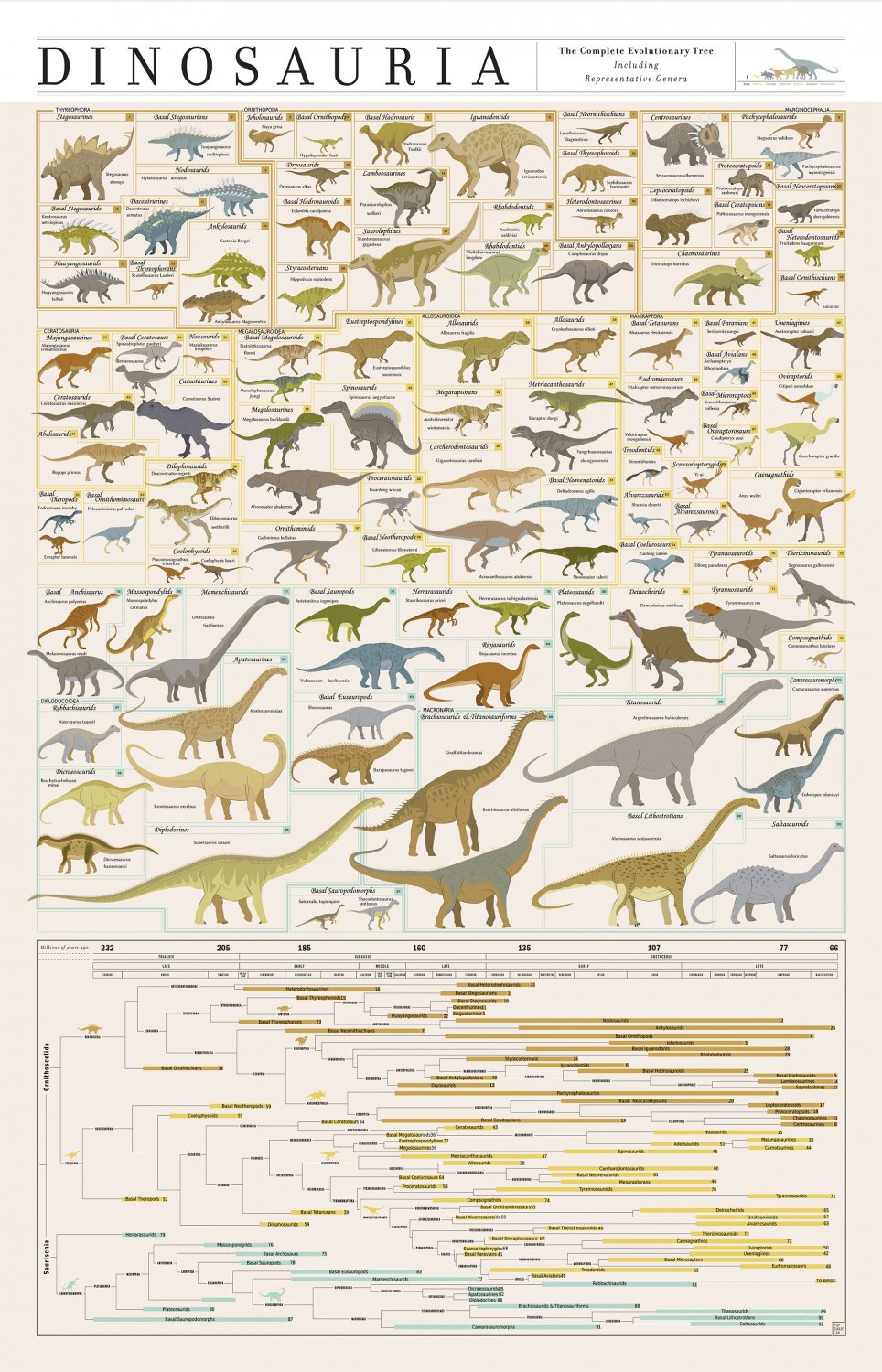 The Complete Evolutionary Dinosaur Tree Chart  18"x28" (45cm/70cm) Canvas Print