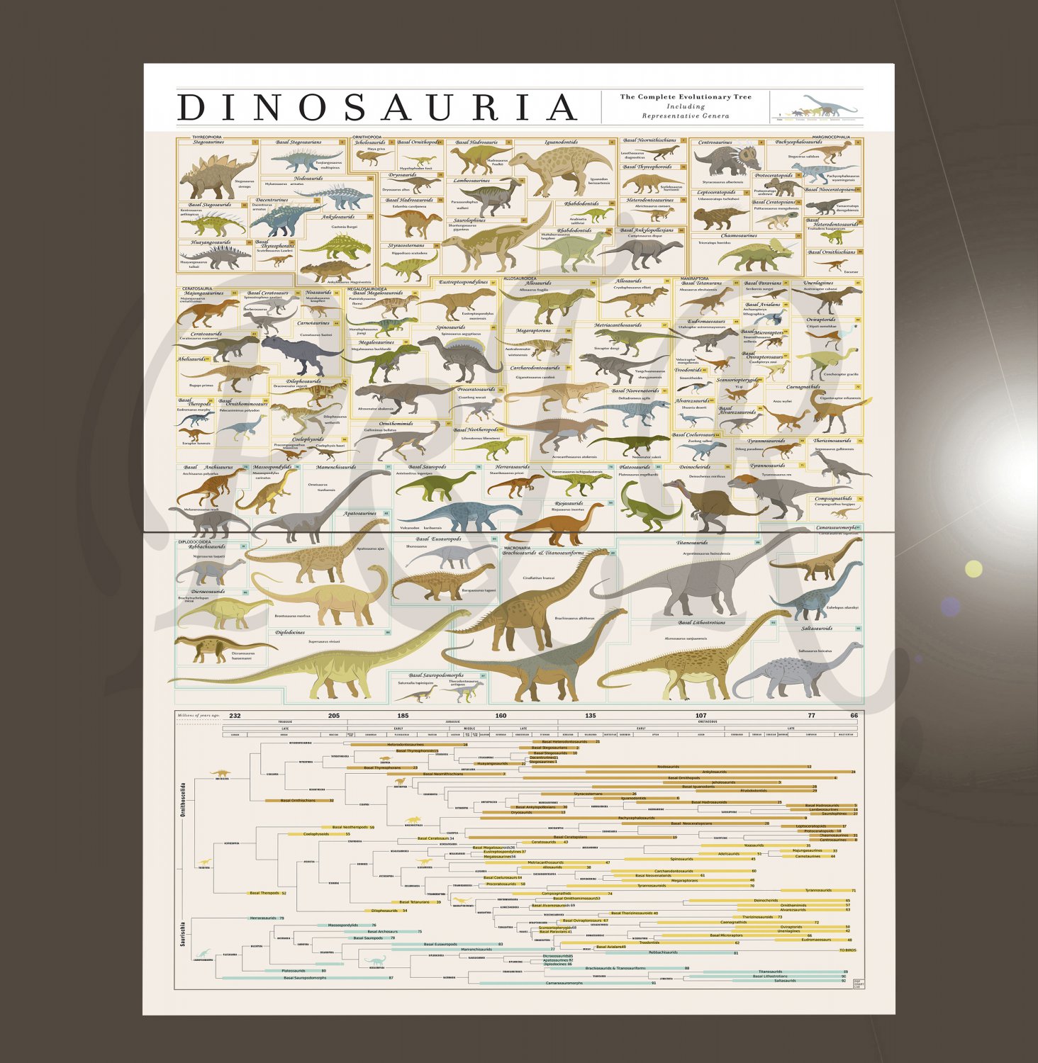 The Complete Evolutionary Dinosaur Tree Chart 18"x28" (45cm/70cm) Bundle of 2 Canvas