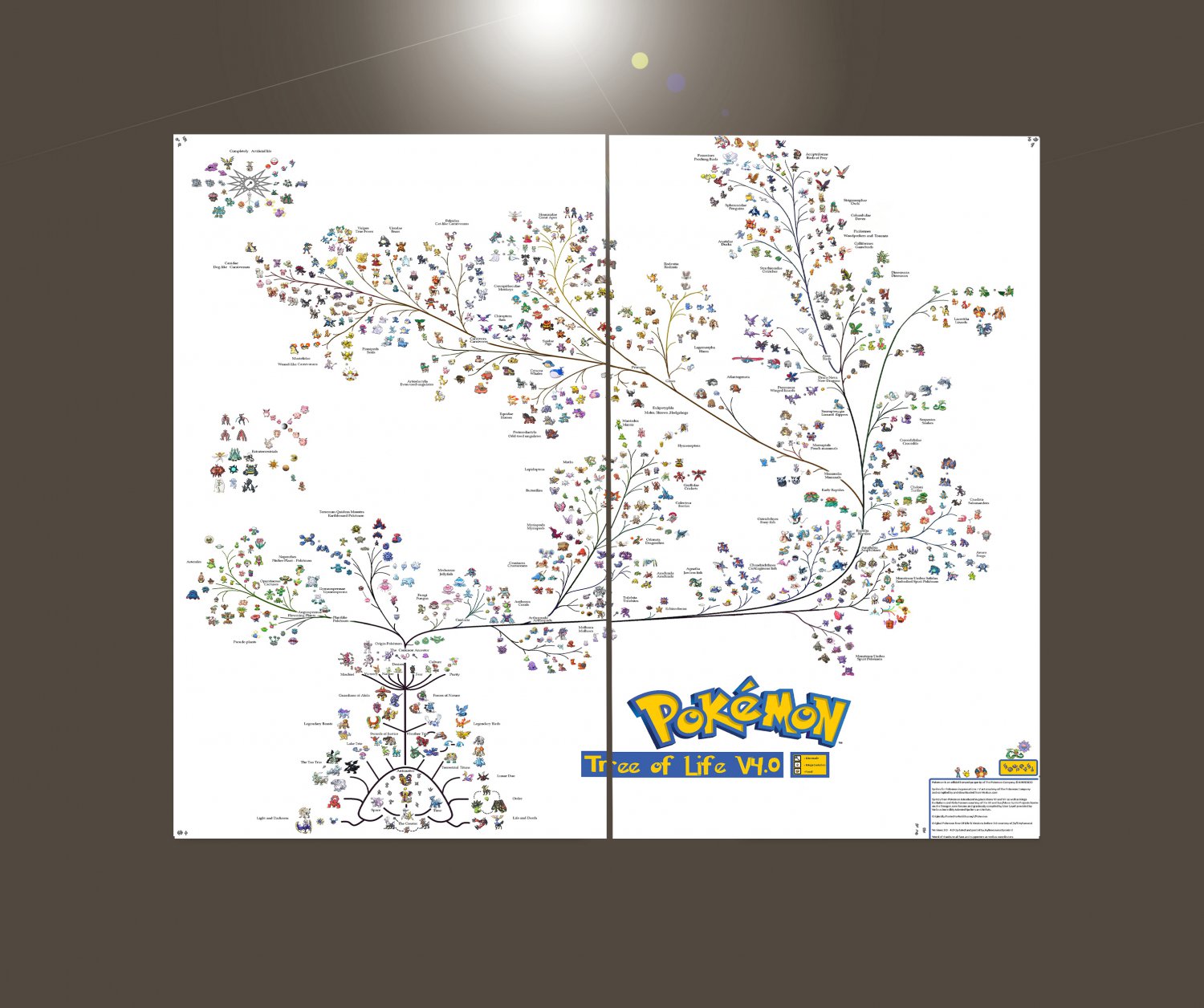Pokemon Evolution Chart 18"x28" (45cm/70cm) Bundle of 2 Canvas