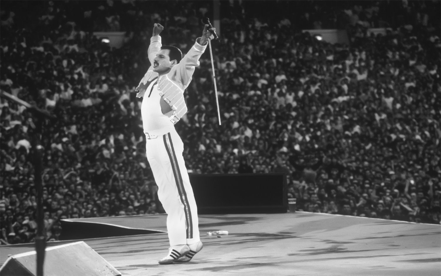 Freddie Mercury 18"x28" (45cm/70cm) Poster