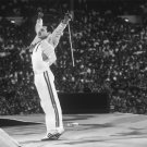Freddie Mercury 18"x28" (45cm/70cm) Canvas Print