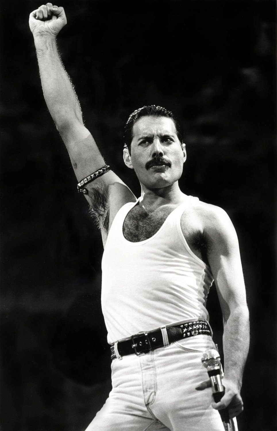 Freddie Mercury 18"x28" (45cm/70cm) Canvas Print