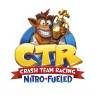 Crash Team Racing Nitro Fueled 13"x19" (32cm/49cm) Polyester Fabric Poster