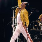 Freddie Mercury 13"x19" (32cm/49cm) Polyester Fabric Poster
