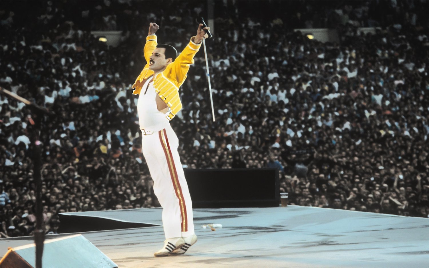 Freddie Mercury 13"x19" (32cm/49cm) Polyester Fabric Poster