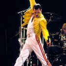 Freddie Mercury Queen 18"x28" (45cm/70cm) Canvas Print