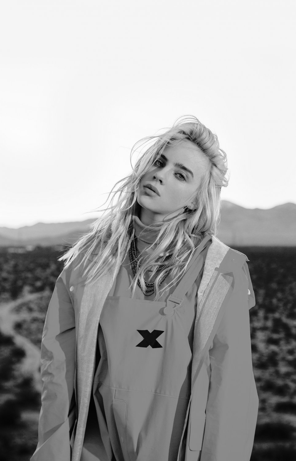 Billie Eilish 18"x28" (45cm/70cm) Canvas Print
