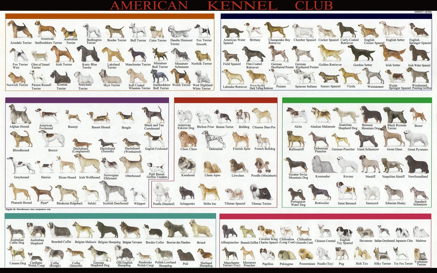 American Kennel Dog Breeds Club Chart 13"x19" (32cm/49cm) Polyester Fabric Poster