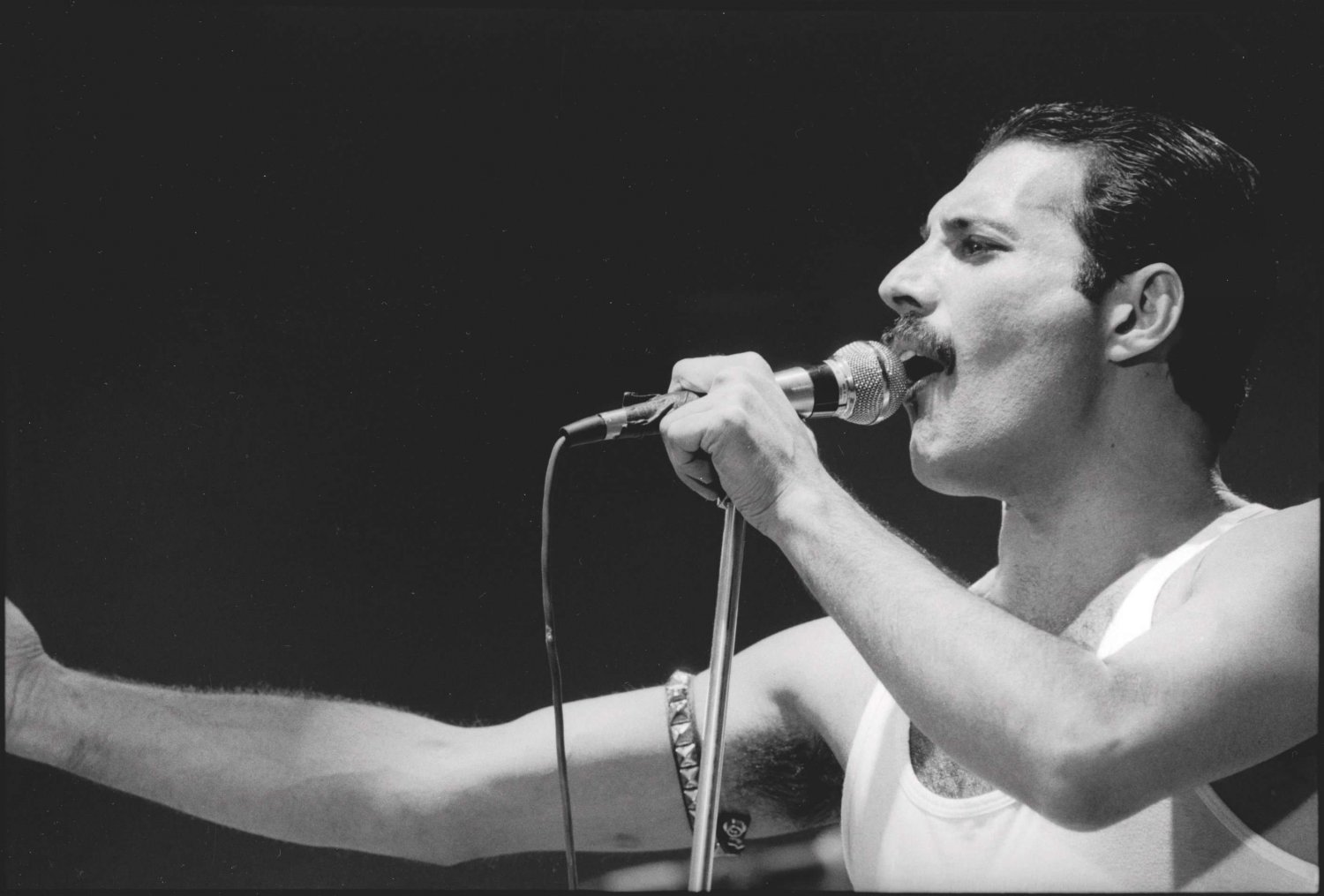 Freddie Mercury 8"x12" (20cm/30cm) Satin Photo Paper Poster