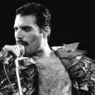 Freddie Mercury   18"x28" (45cm/70cm) Poster