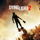 Dying Light 2 18"x28" (45cm/70cm) Poster