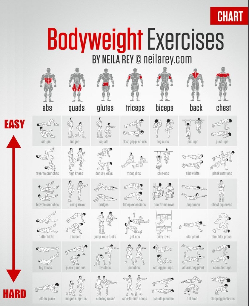 Bodyweight Exercises Chart 18"x28" (45cm/70cm) Poster
