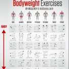 Bodyweight Exercises Chart 18"x28" (45cm/70cm) Poster