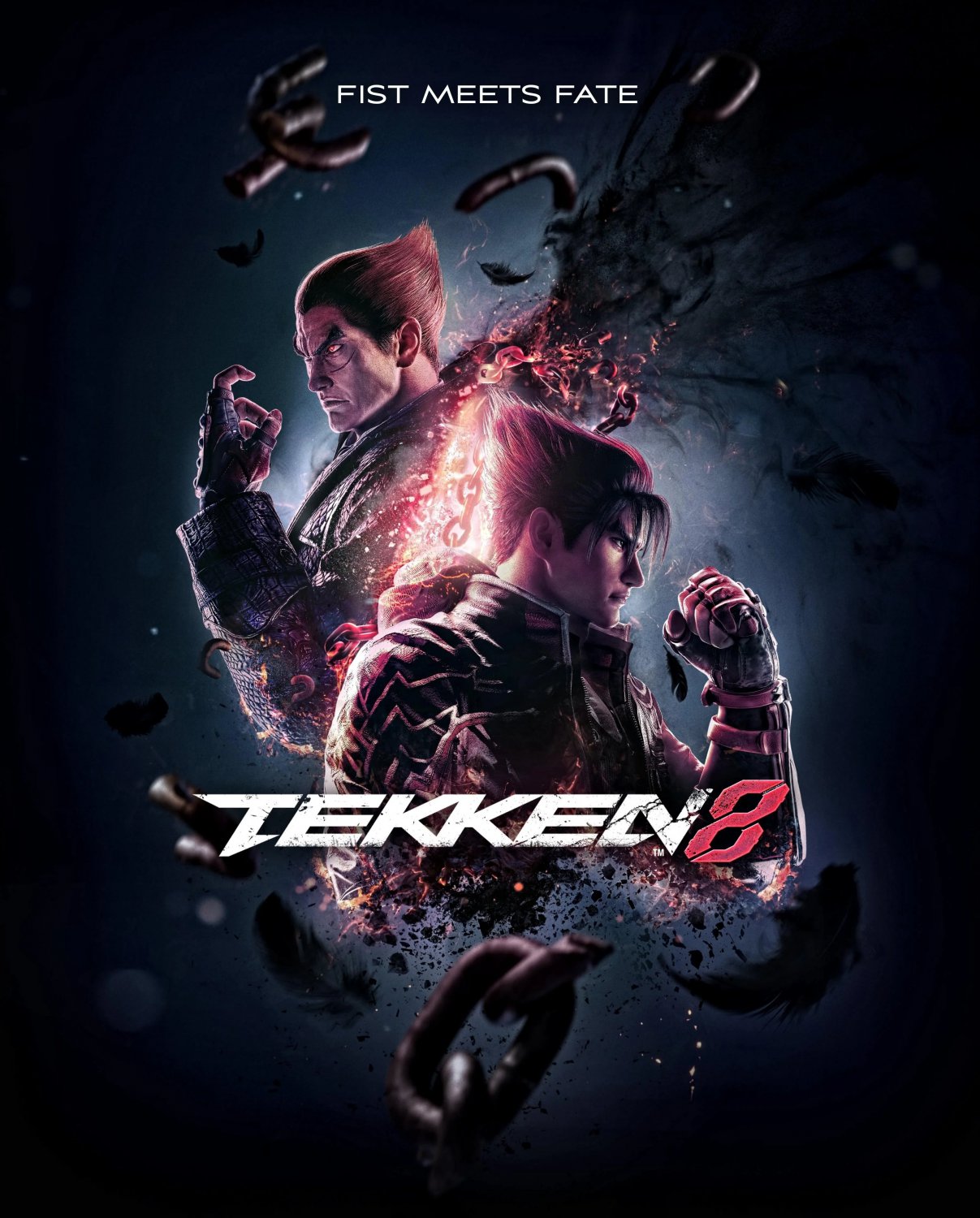 Tekken 8 13"x19" (32cm/49cm) Poster