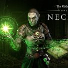 The Elder Scrolls Online Necrom 18"x28" (45cm/70cm) Poster