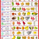 Healthy Food Vitamin Infographic Chart  24"x35" (60cm/90cm) Canvas Print