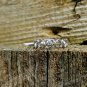 .925 Sterling Silver Ring size 4 Heart Midi Knuckle Thumb Fashion Ladies New r84
