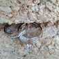 .925 Sterling Silver Wedding Set CZ Engagement Ring Bridal Ladies Size 6 New z51