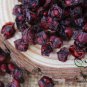 Schisandra Chinensis, Magnolia-vine Seed 500 PCS, Wu Wei Zi