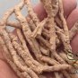 Polygala Tenuifolia, Common Polygala Seed 1000 PCS, Yuan Zhi