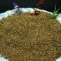 Cnidium Monnieri, Monnier's Snowparsley Seed 5000 PCS, She Chuang Zi