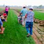 Festuca Elata, Four Seasons Evergreen Seed 3000 PCS, Gao Yang Mao